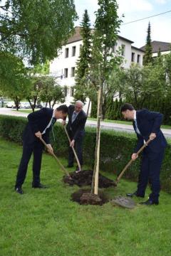 Ob 25-letnici Lions kluba Trbovlje v zagorskem parku novo drevo 1